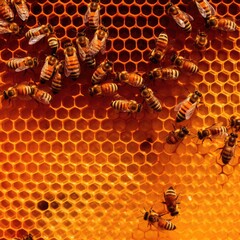 Close up of bees on honeycomb on blurred background created using generative ai technology