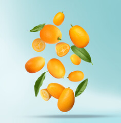 Delicious fresh kumquats and green leaves falling on color background