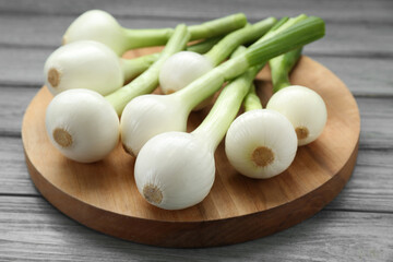 Tray with green spring onions on grey wooden table, closeup