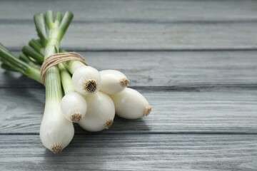 Bunch of green spring onions on grey wooden table, closeup. Space for text