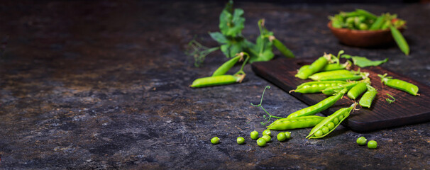 Rural still life, banner horizontal - view of the pea crop, selective focus, close-up on a dark background with space for text. The harvest concept