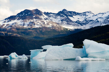 Eisberg am Grey Gletscher, Torres del Paine Nationalpark, Chile, Südamerika | Iceberg on the Grey...