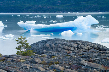 Eisberg am Grey Gletscher, Torres del Paine Nationalpark, Chile, Südamerika | Iceberg on the Grey...