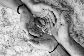 Feet of the newborn on the palms of the parents. The palms of the father and mother are holding the foot of the newborn baby in flokati. Black and white photography of a child's toes, heels and feet.