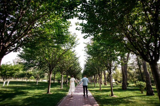 Stylish bride and groom walk hand in hand along the alley of a beautiful park. Image for your creative design or illustrations.