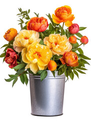 Bucket of whith yellow and red peonies with lush green leaves on white background