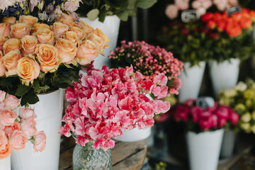 Amazing flowers in a Flower shop.