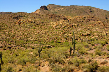 Apache Trail Arizona