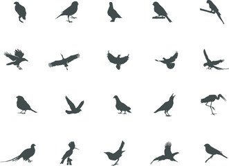 Bird silhouette, Flying bird silhouette, Bird silhouettes, Bird clipart, Birds SVG, Bird vector set, Bird icon, Vector elements.
