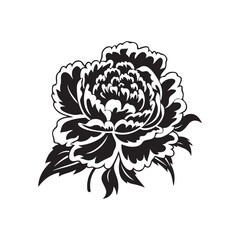 Peony flower , black sillouette, lines thick and connected. Park and garden flowers