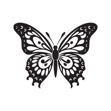 butterfly silhouette, black and white image. vector drawing