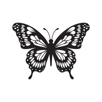 butterfly silhouette, black and white image. vector drawing