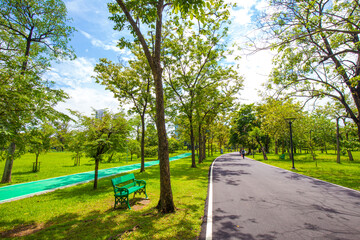 Obraz premium Pathway road in green city park tree forest