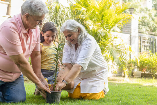 Grandparents gardening and teaching granddaughter take care plant indoors