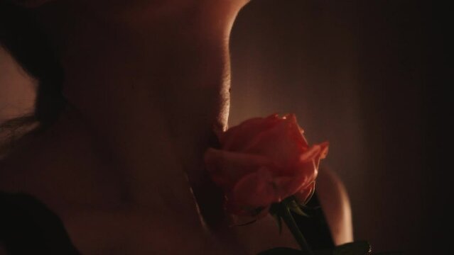 Closeup portrait man touching stroking sexy woman, neck skin with rose flower skin breasts seductive body lingerie. Adult girl in black lace underwear. Beauty face cropped wet red lips. fashion model