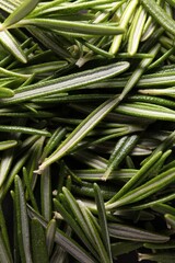 Fresh green rosemary leaves as background, top view