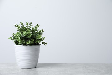 Artificial potted oregano on light grey table, space for text