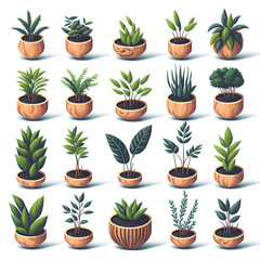 Fototapeta na wymiar Set with beautiful plant in wooden pot isolated white background.