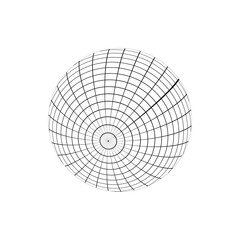 earth globe icon with black grid