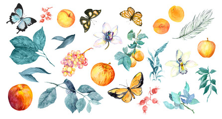 Set with exotic butterlies, summer fruits, tropical leaves, garden plants. Watercolor collection, vintage illustrations bundle