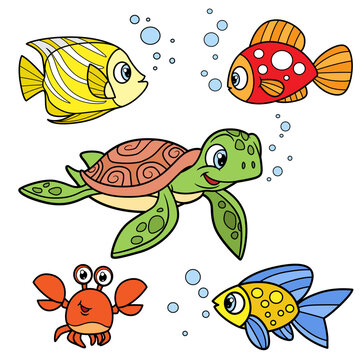 Cute cartoon exotic sea fishes,  crab and  turtle color variation for coloring page isolated on white background