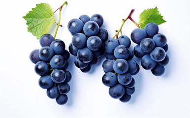 Fototapeta premium Bunch of Blue grapes isolated on white or black background with leaves. Generative Ai.
