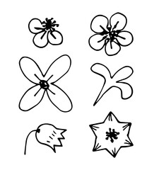 Simple hand-drawn vector drawing in black outline. Set of abstract flowers. Nature and plants. Ink sketch. Doodle style.