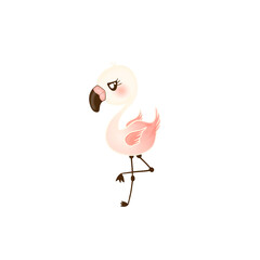 flamingo vector illustration,hand drawn