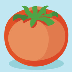Vector illustration of fresh and juicy tomato