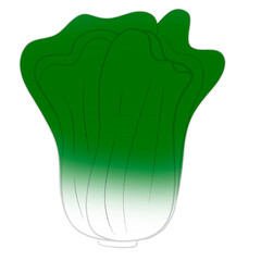 Bok choy or pok choy