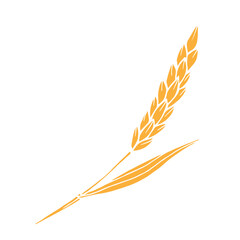Simple hand-drawn vector drawing. Gold spikelet of wheat isolated on white background. Cereals, flour products. For printing, label, logo, shop, bakery.