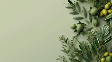 Photo sur Plexiglas Photographie macro Background olive branch on a green background. green olives. olive oil. green banner. copy space. generative ai