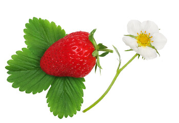 Strawberry isolated on white background