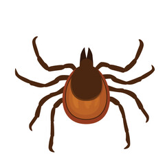 Tick vector illustration. Insect is simple flat style isolated on