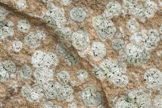 Stone surface with white spots