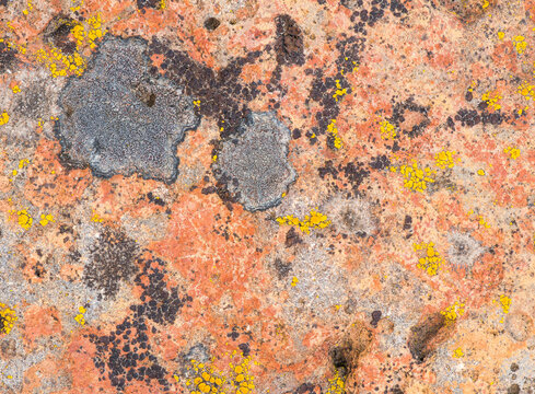 Textured background of granite stone