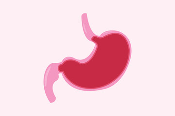 Obraz premium cross section humans stomach illustration, for sains education. eps 10.