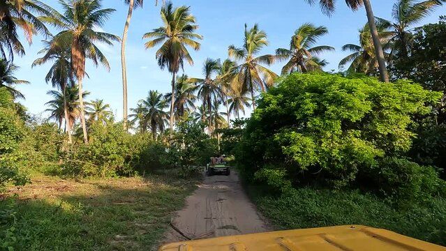 Buggy trip in Alagoas Brazil
