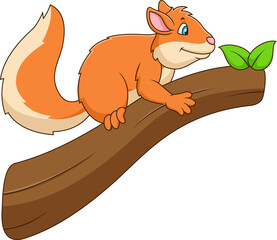 Cute squirrel cartoon on a branch. Cute animal cartoon