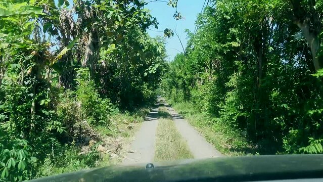 Bali, Indonesia A car drives on a narrow jungle path.