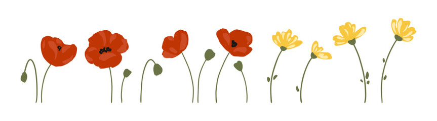 Hand drawn vector set of poppy and buttercup flowers isolated on white background. Lovely wildflowers for summer designs. Cute botanical elements in trendy flat style. Charming floral plants