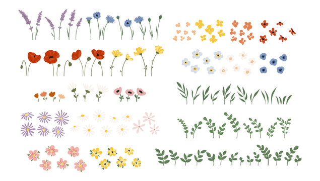 Big vector set of wildflowers, branches and leaves isolated on white background. Poppies, lavender, cornflowers, meadow flowers, buds, foliages. Charming vector collection with floral elements