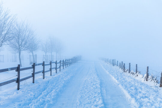 Winter morning landscape