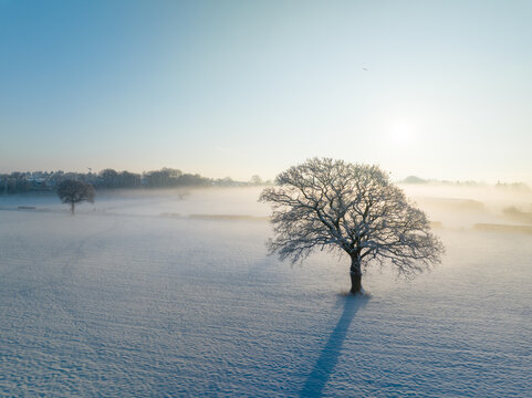 Winter morning landscape
