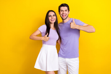 Portrait of two cheerful funky partners embrace demonstrate thumb up isolated on yellow color background