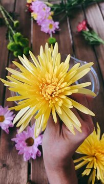 person holding flowers,flower, flowers, nature, bouquet, yellow, daisy, beauty, summer, spring, flora, blossom, plant, floral, garden, orange, pink, colorful, color, bloom, bunch, gerbera, beautiful, 
