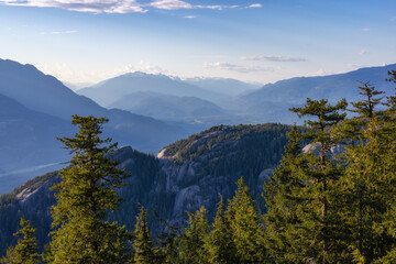 Rocky Mountain Cliffs and green trees in Canadian Nature Landscape.