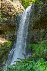 Lower South Falls Landscape 11