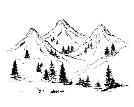 Mountains landscape with pine trees. black on a white background. Hand sketch in pencil. Rocky peaks in a graphic style.