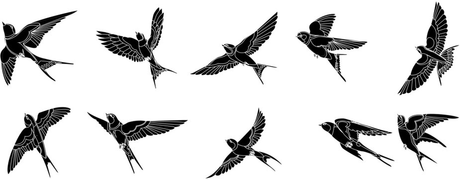 set of silhouettes of bird